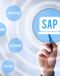 SAP Implementation Support & Resourcing